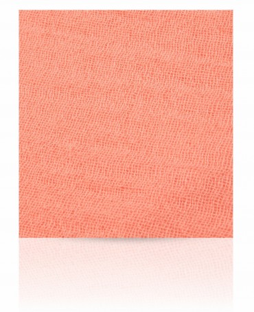 Палантин Женский C-CAS_26S.1/ROSE